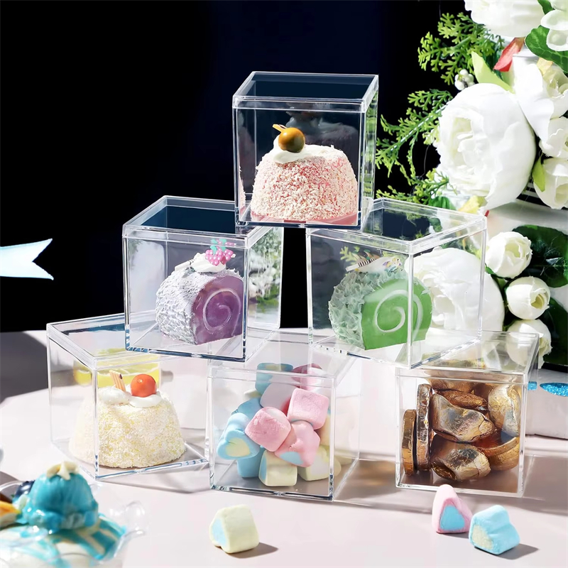 1-20pcs Transparent Acrylic Bo - Xmas Food Storage Containers recensione e prezzo