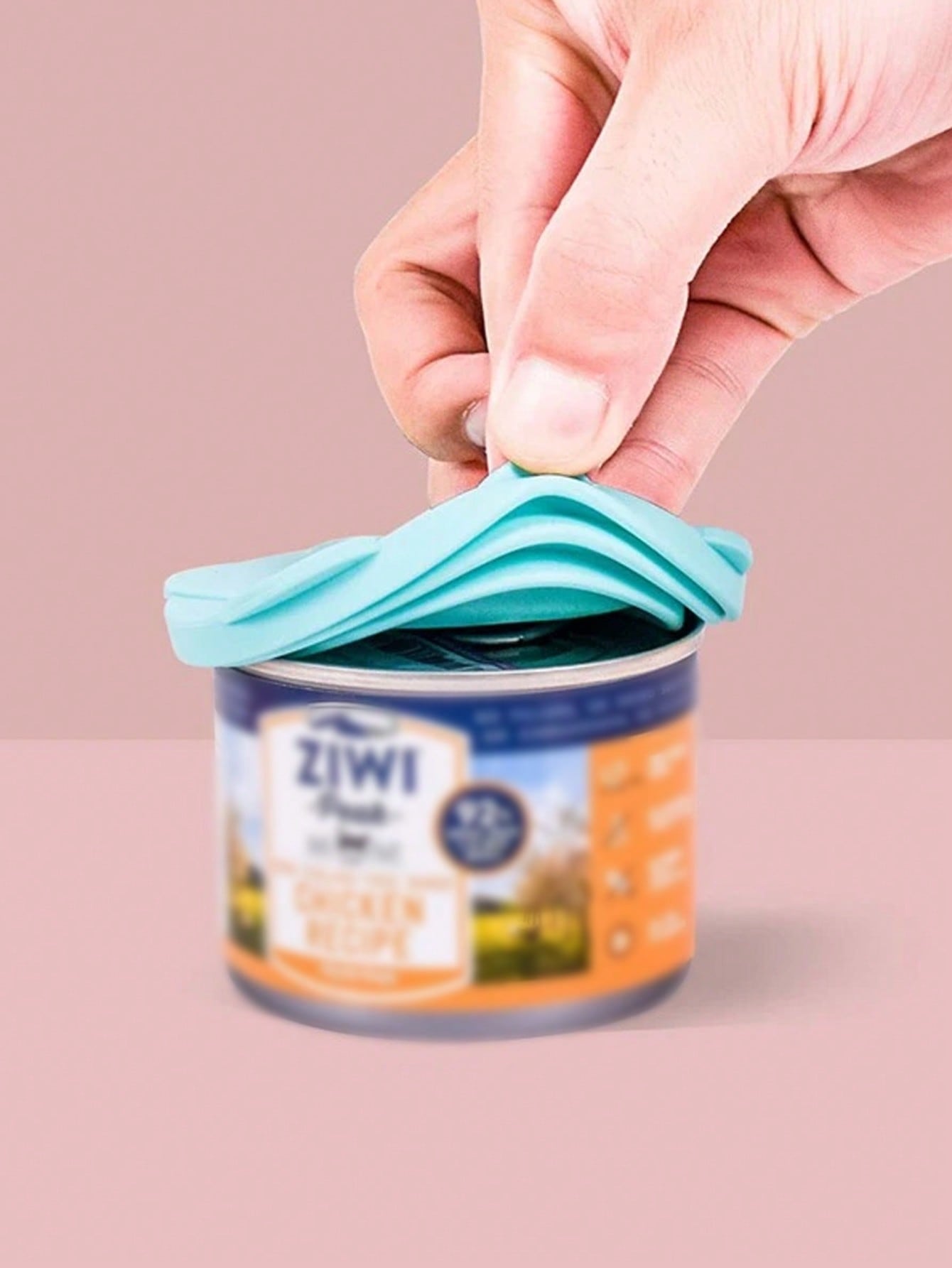 1 Set of Pet Food Can Lids and - Xmas Food Storage Containers recensione e prezzo