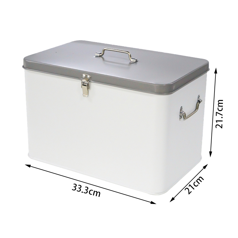 Large Capacity Storage Box Wit - Food Storage Locker recensione e prezzo