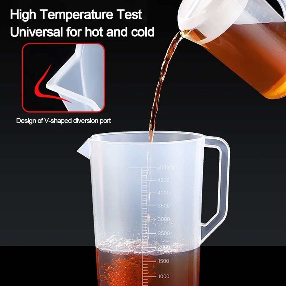 Plastic Container Transparent  - Food Storage Box Large recensione e prezzo