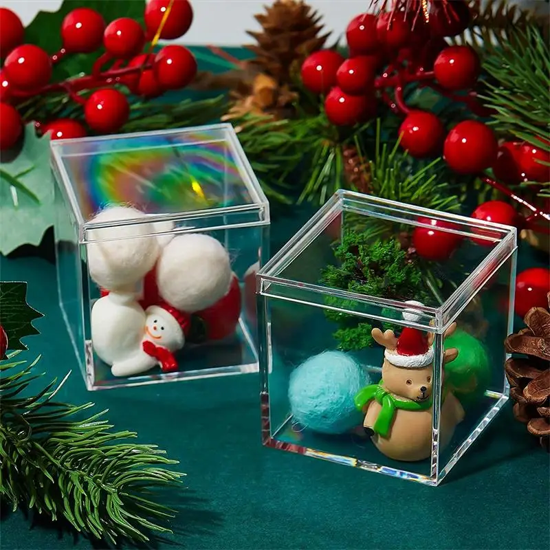 12 PCS Transparent Acrylic Box - Xmas Food Storage Containers recensione e prezzo