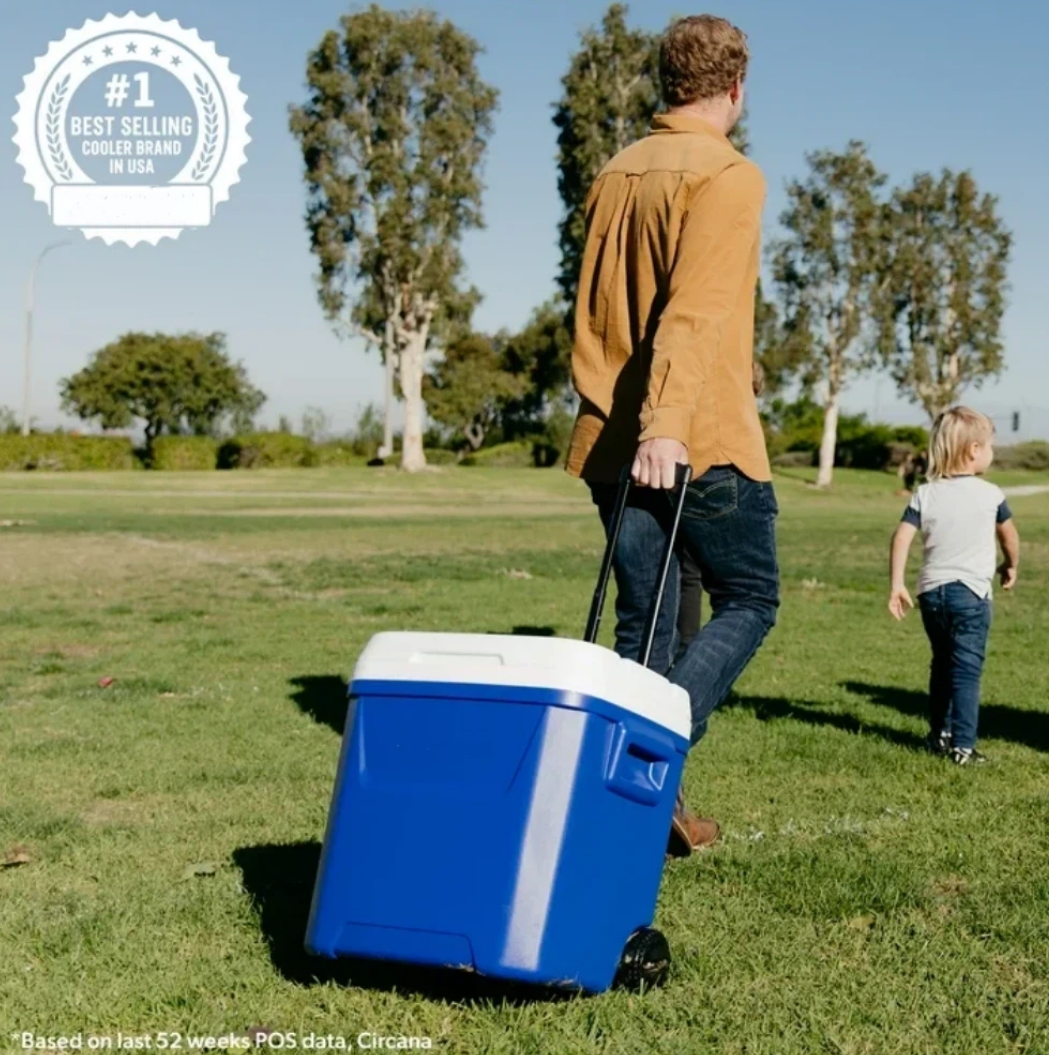 60 QT Blue Laguna Wheeled Hard - Food Storage Box Large recensione e prezzo