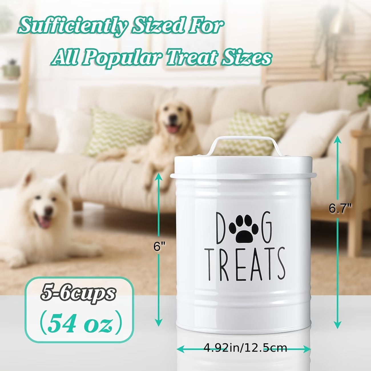 Farmhouse Style Dog Treat Jar, - Food Storage For Dog recensione e prezzo