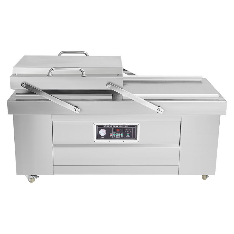 Double Vacuum Sealing  DZ-800- - Storage Food Prep recensione e prezzo