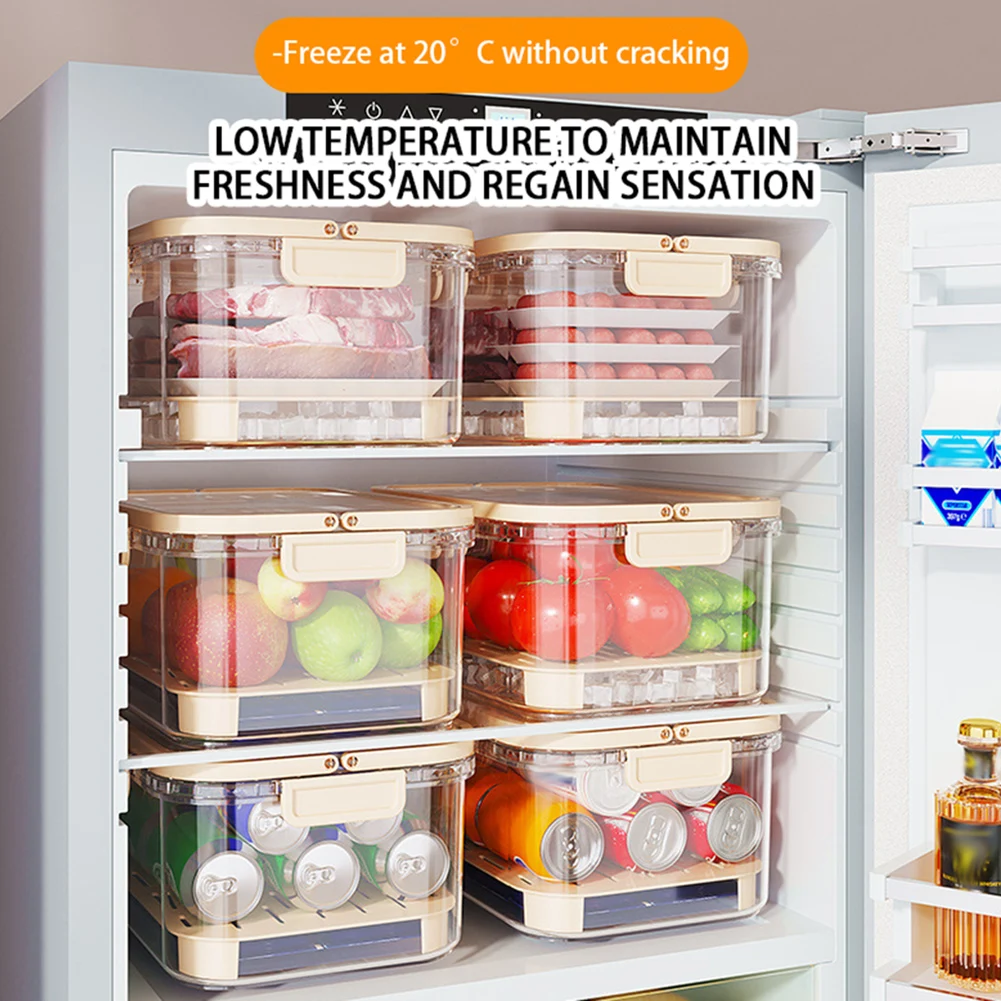 Portable Food Storage Containe - Food Storage Box Large recensione e prezzo