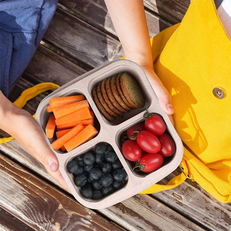 4 Grids Food Storage Box Porta - Food Storage With Compartments recensione e prezzo