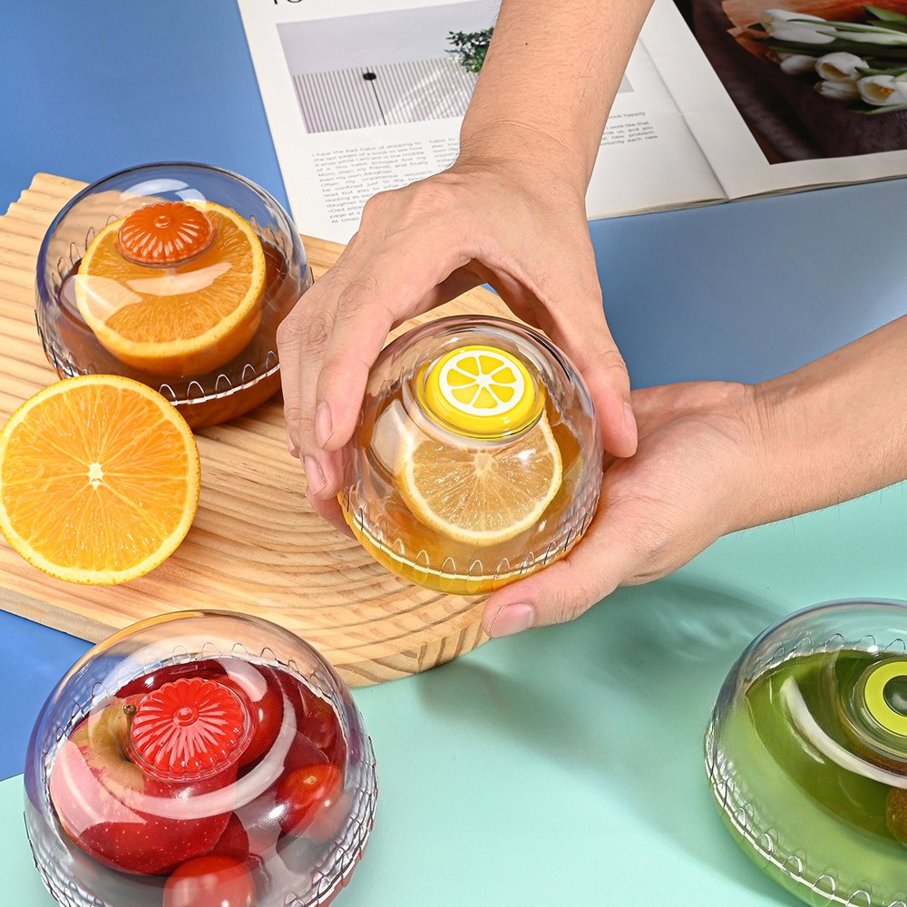 Vegetable Fruits Airtight Cris - Food Storage Square Containers recensione e prezzo