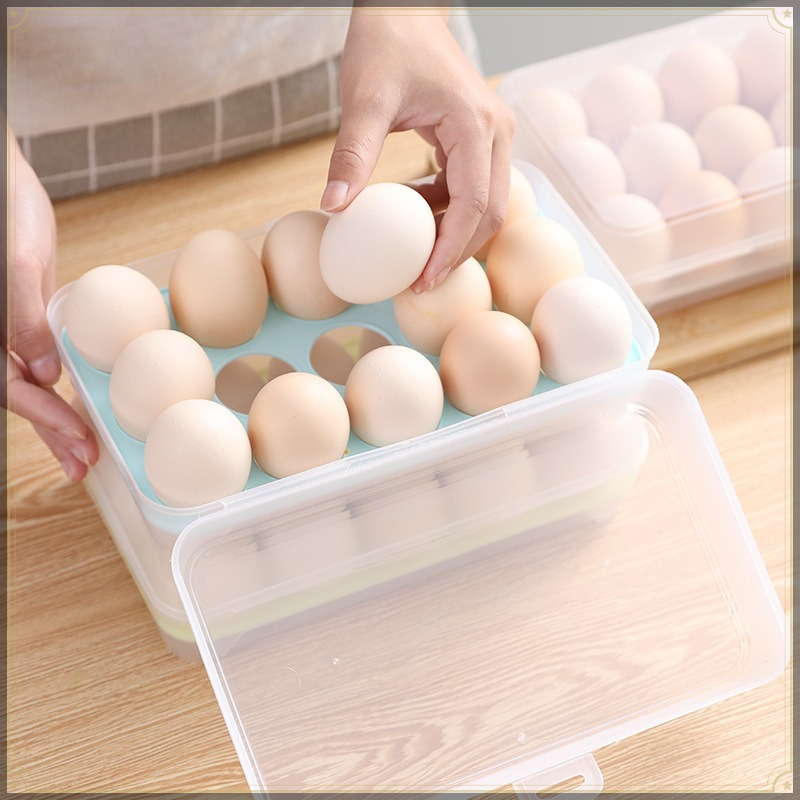 Egg Storage Box 15 Grids PP Vi - Egg Storage Holder recensione e prezzo