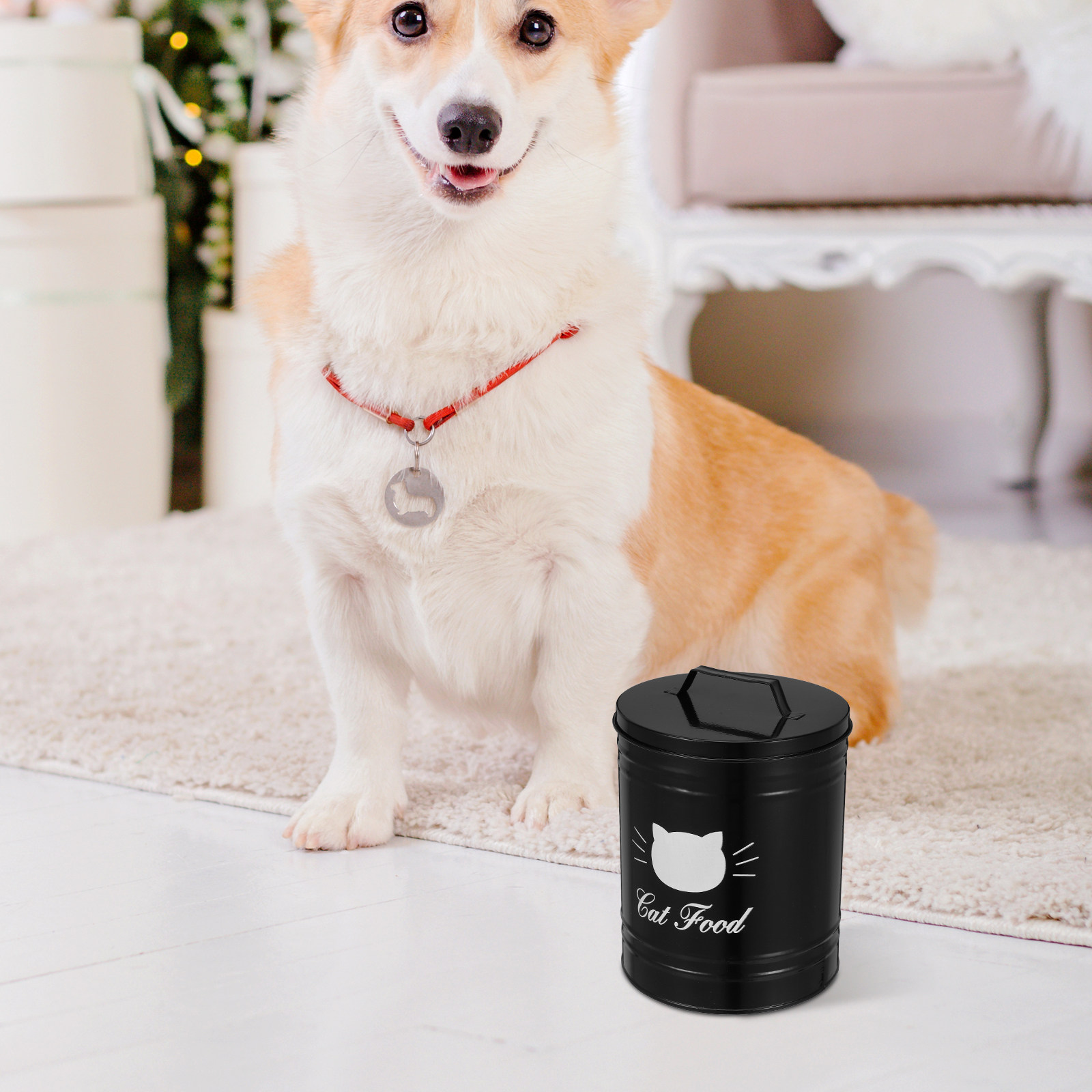 Pet Food Storage Container Iro - Food Storage For Dog recensione e prezzo