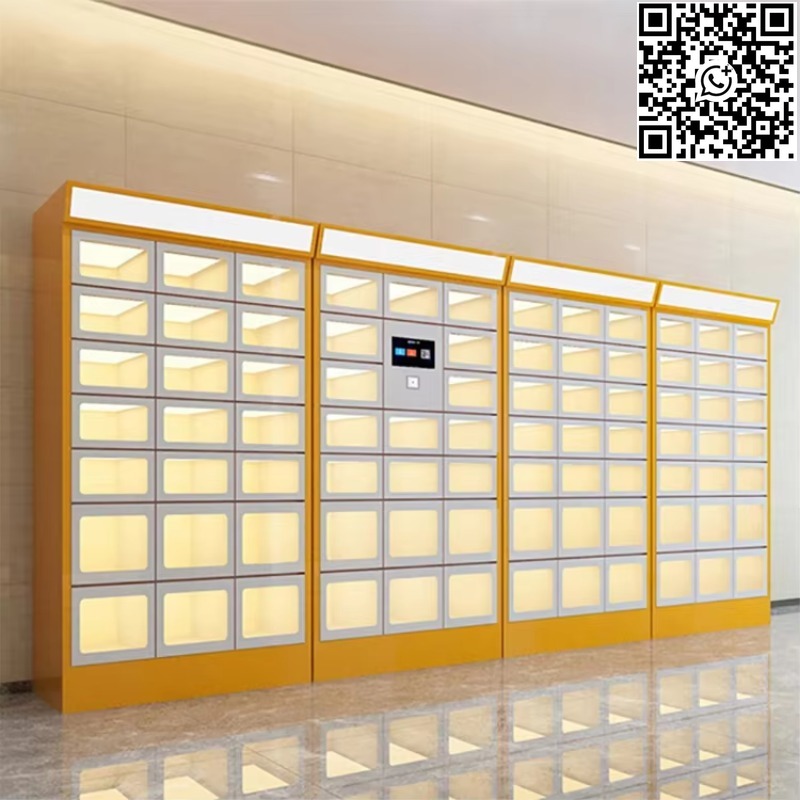 Custom Double Sided Locker Ele - Food Storage Locker recensione e prezzo