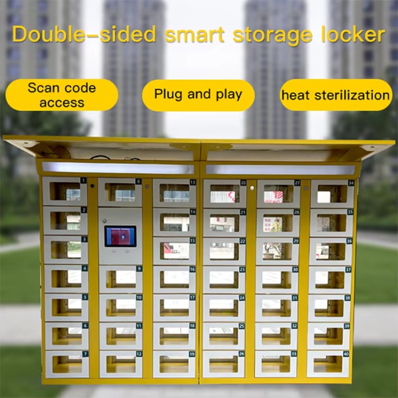 Custom Double Sided Locker Ele - Food Storage Locker recensione e prezzo