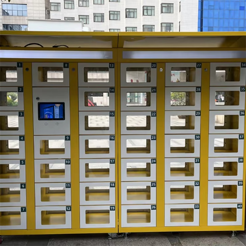 Custom Double Sided Locker Ele - Food Storage Locker recensione e prezzo