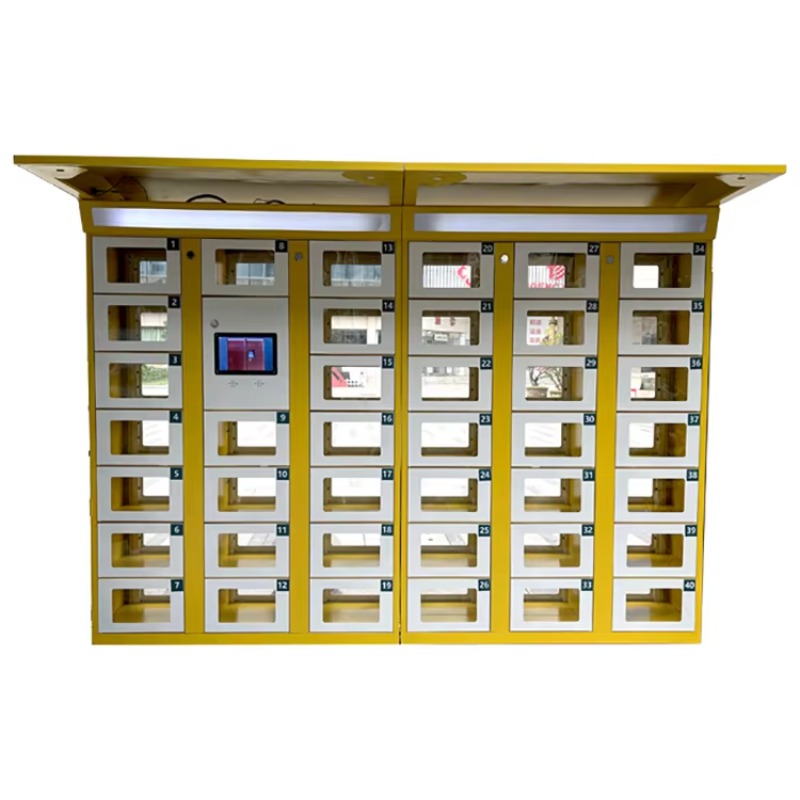 Custom Double Sided Locker Ele - Food Storage Locker recensione e prezzo