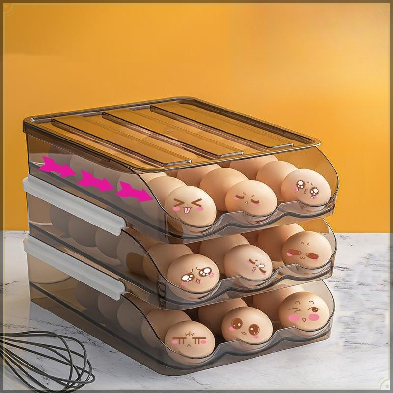 Rolling Egg Storage Box PET St - Egg Storage Holder recensione e prezzo
