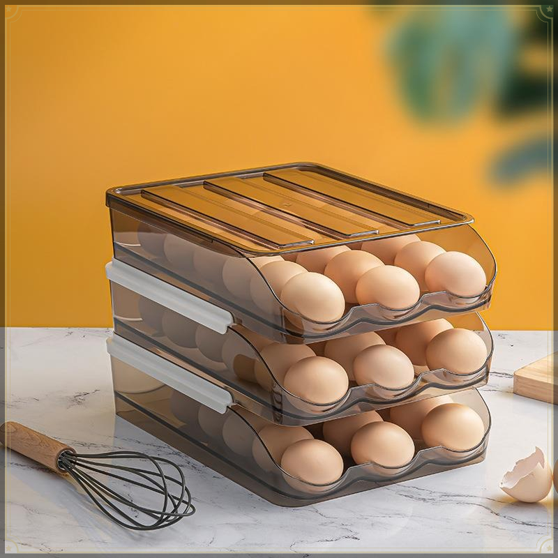 Rolling Egg Storage Box PET St - Egg Storage Holder recensione e prezzo