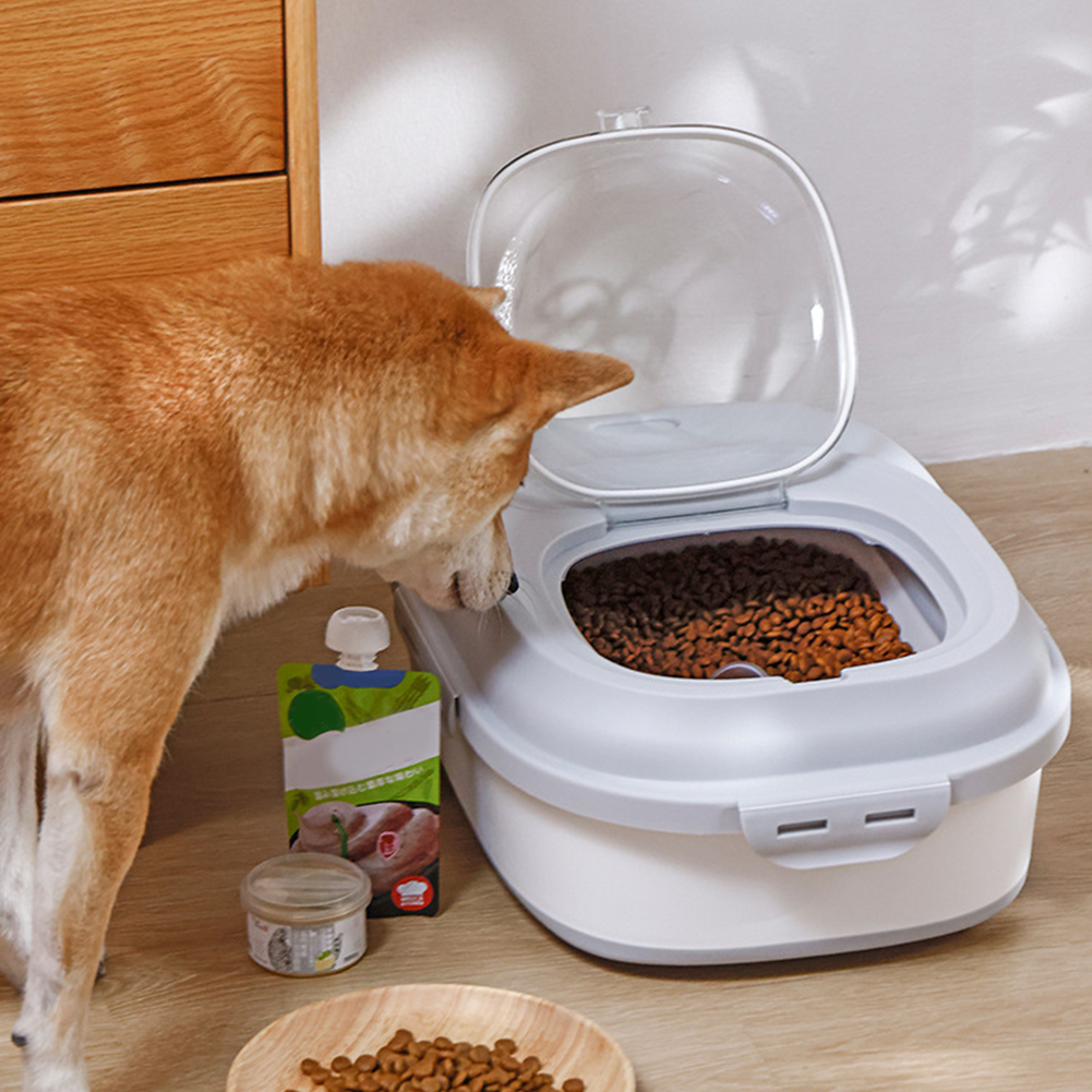 Collapsible Dry Cat Food Box 2 - Food Storage Box Large recensione e prezzo