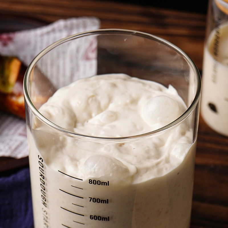 Sourdough Proofing Jar Kitchen - Food Storage Practices recensione e prezzo