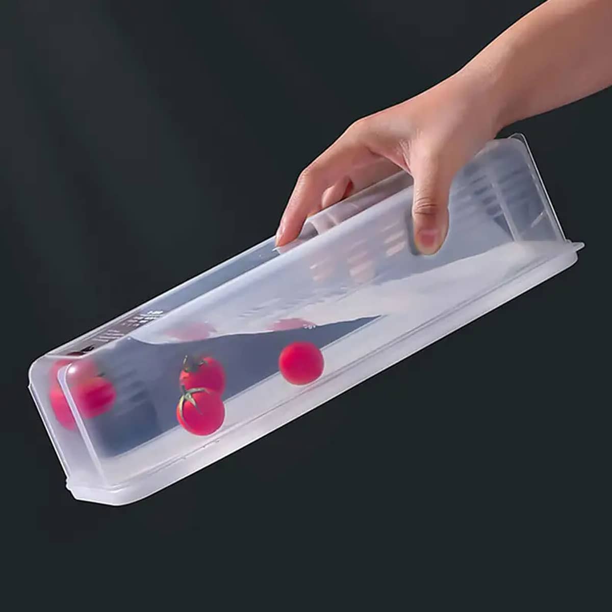 1 Plastic Transparent Storage  - Food Storage Square Containers recensione e prezzo
